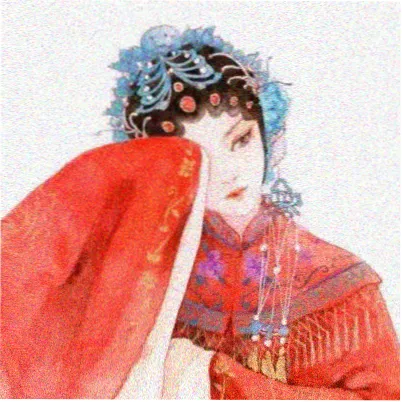 用户“白桦林”的头像